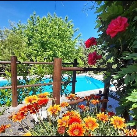 Casa Da Vovo Βίλα Amarante Εξωτερικό φωτογραφία