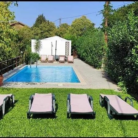 Casa Da Vovo Βίλα Amarante Εξωτερικό φωτογραφία