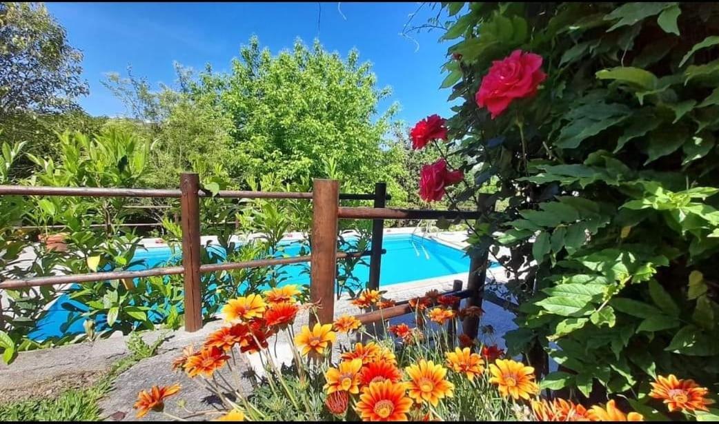 Casa Da Vovo Βίλα Amarante Εξωτερικό φωτογραφία