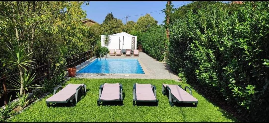 Casa Da Vovo Βίλα Amarante Εξωτερικό φωτογραφία