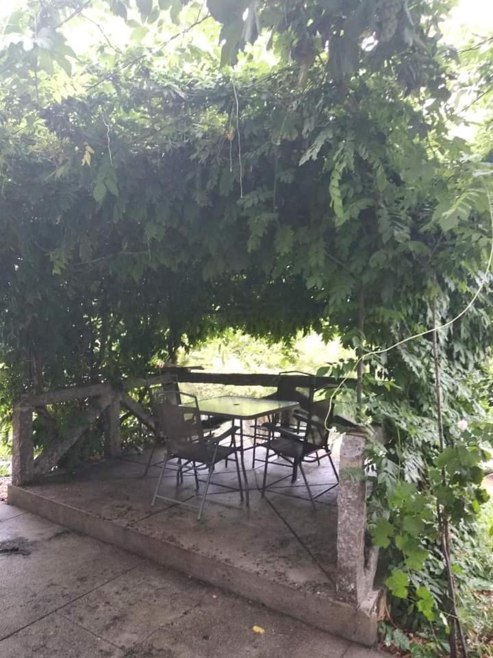 Casa Da Vovo Βίλα Amarante Δωμάτιο φωτογραφία